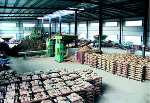 通江福德源陶瓷廠建成投產，投資管理助力地方經濟，新增就業崗位200個